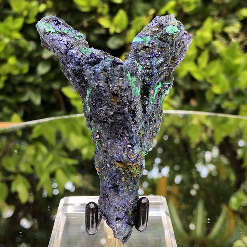 122g 9.5x6.5x4.5cm Victory Angel Blue Azurite w/ green Malachite from Sepon Mine, Laos - Locco Decor