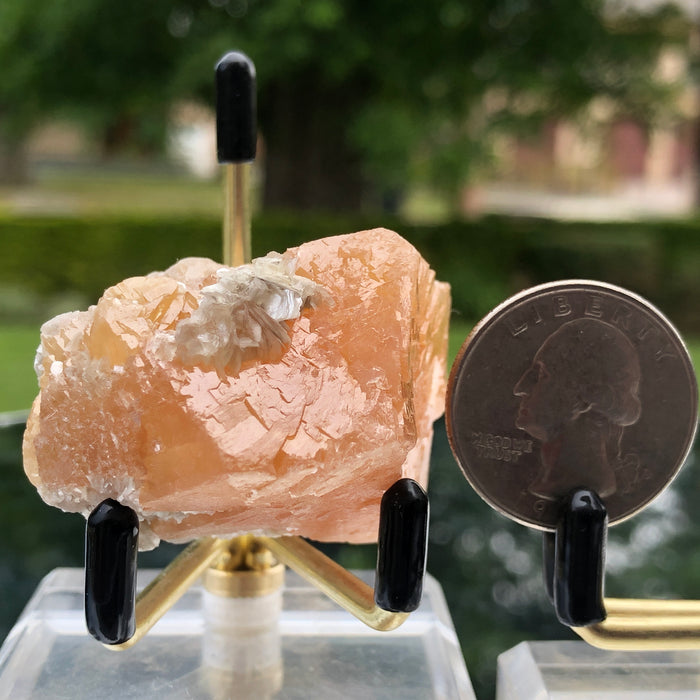 152g 5x4x2cm Orange Scheelite with Silver Muscovite from Mt. Xuebaoding,Sichuan,CHINA