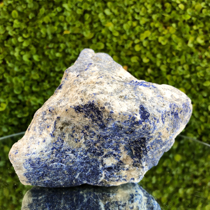 1.56kg 11x13x13 cm Blue Lapis Lazuli from Afghanistan