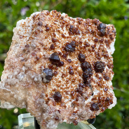 184g 10x8x3cm White Feldspar with Orange Spessartite Garnet from Tongbei, Fujian, CHINA