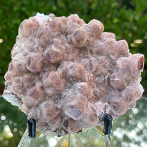 308g 10x8x6cm Pink Puprle Cobalt Calcite with frosting layer from Uruguay