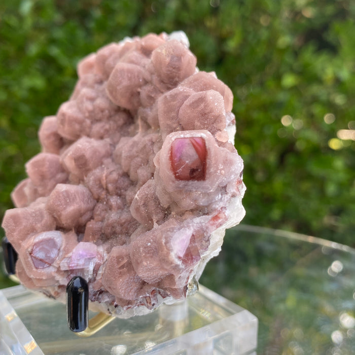 308g 10x8x6cm Pink Puprle Cobalt Calcite with frosting layer from Uruguay