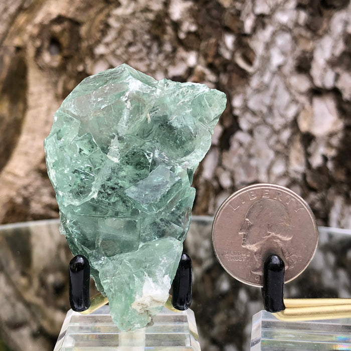 60g 6x5x2cm Glass Green and Clear Fluorite from Xianghualing,Hunan,CHINA