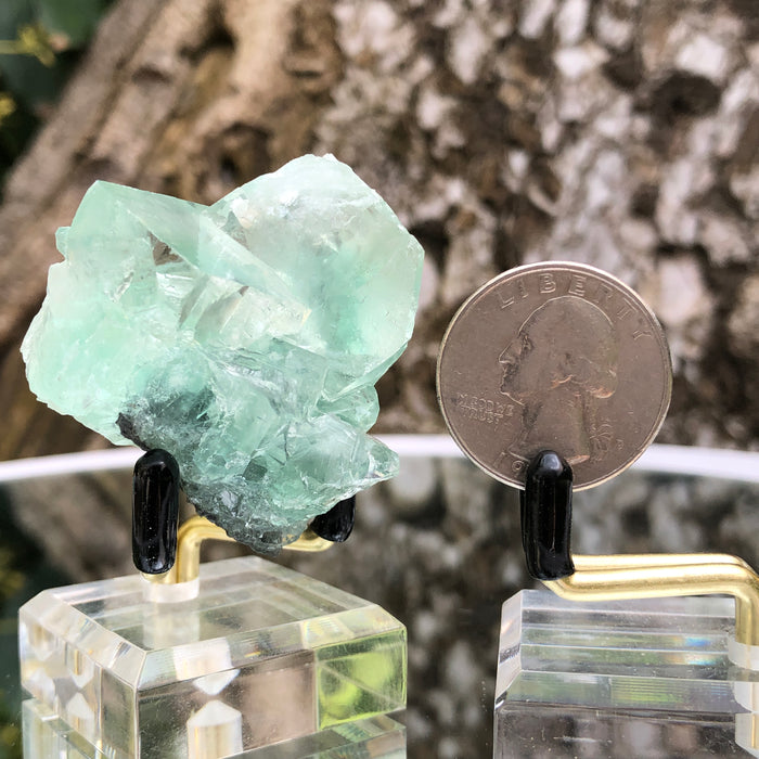 64g 5x4x4cm Glass Green and Clear Fluorite from Xianghualing,Hunan,CHINA