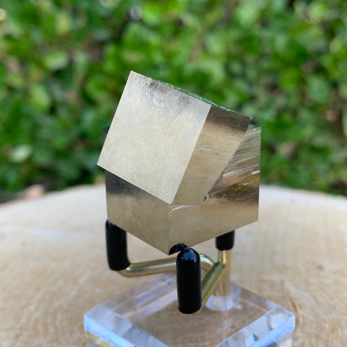 66.7g 3x3x2cm Intergrown Gold Spanish Pyrite from Spain