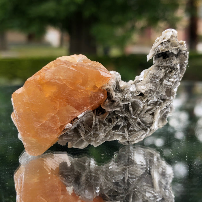 78g 5x3x3cm Snail Shape Orange Scheelite with Silver Muscovite from Mt. Xuebaoding,Sichuan,CHINA