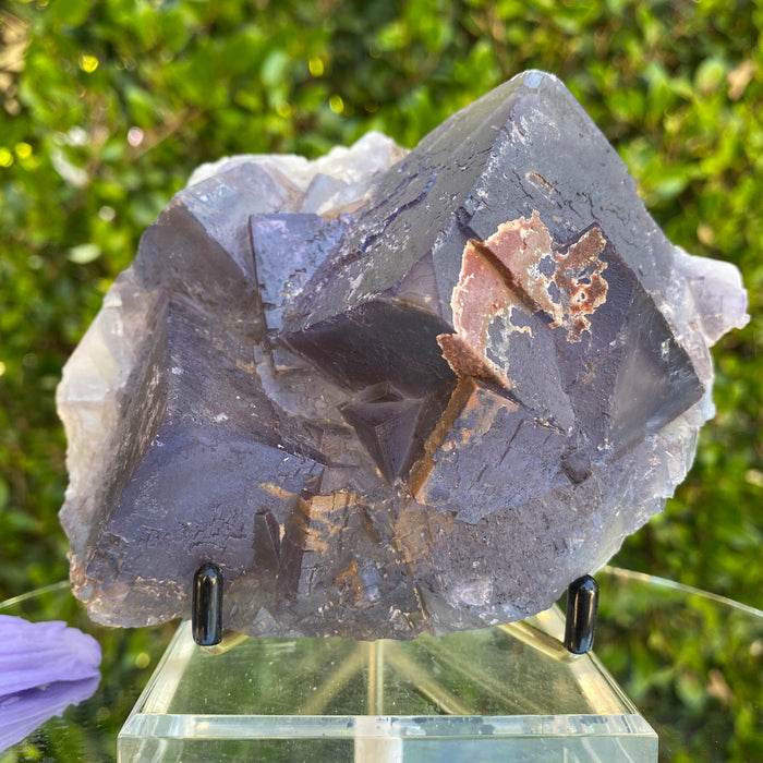 922g 14x13x7cm Big Cluster Cubic Matrix Purple Fluorite from Balochistan, Pakistan