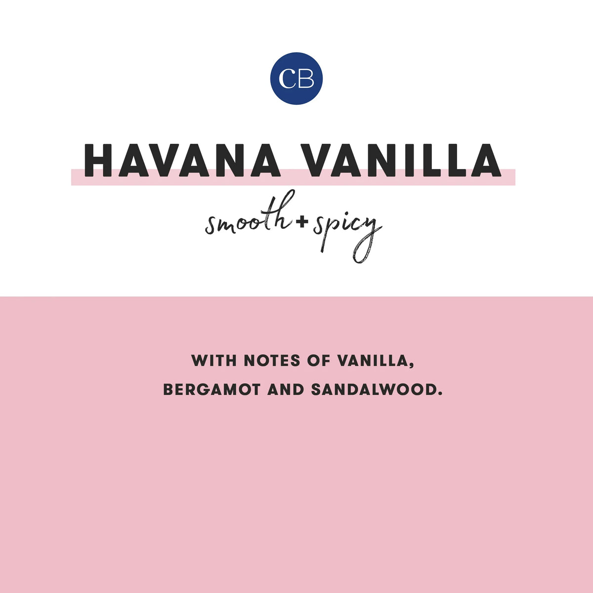 CAPRI BLUE - Havana Vanilla Pattern Play Travel Tin, 8.5 oz